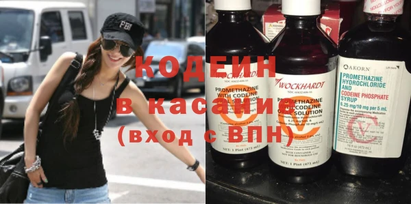 индика Слюдянка